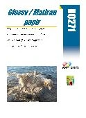 R0271 20 LISTOV GLOSSY EVERYDAY 10X15 200g